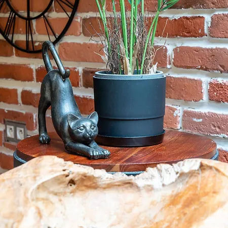 Art & Garden 4* Краков