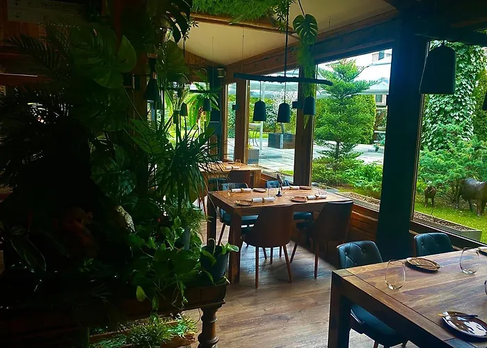 Art & Garden Kraków